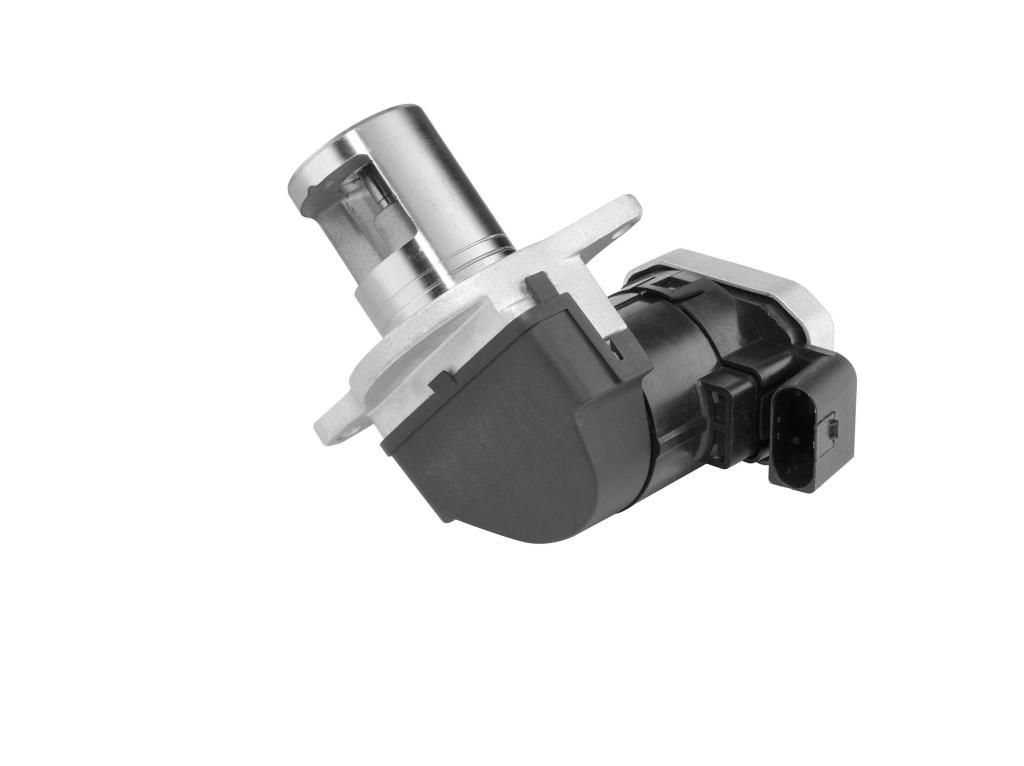 Vanne EGR WAHLER 7389D
