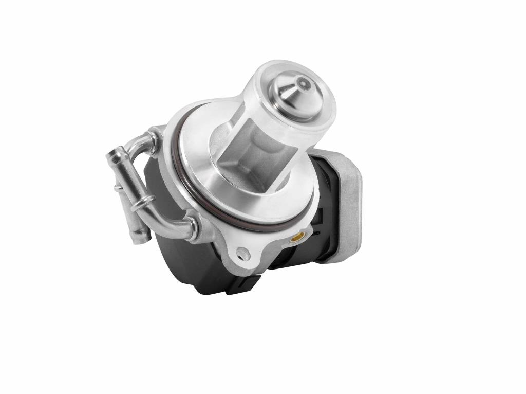 Válvula EGR WAHLER 7504D
