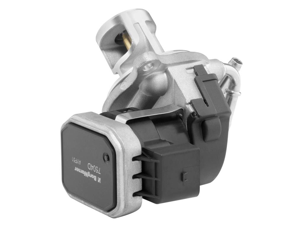 Válvula EGR WAHLER 7504D