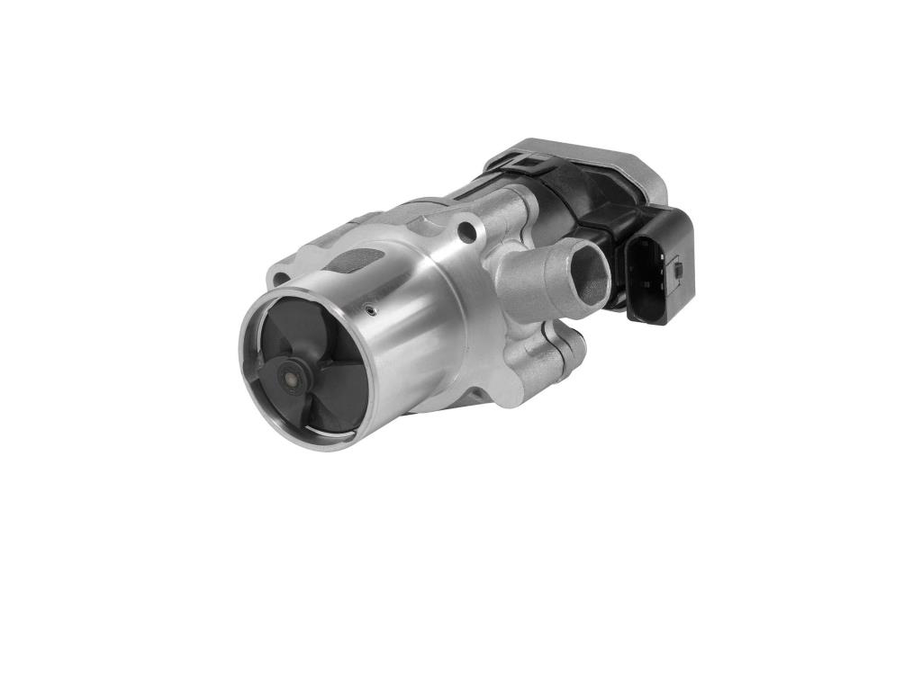 Vanne EGR WAHLER 7610D