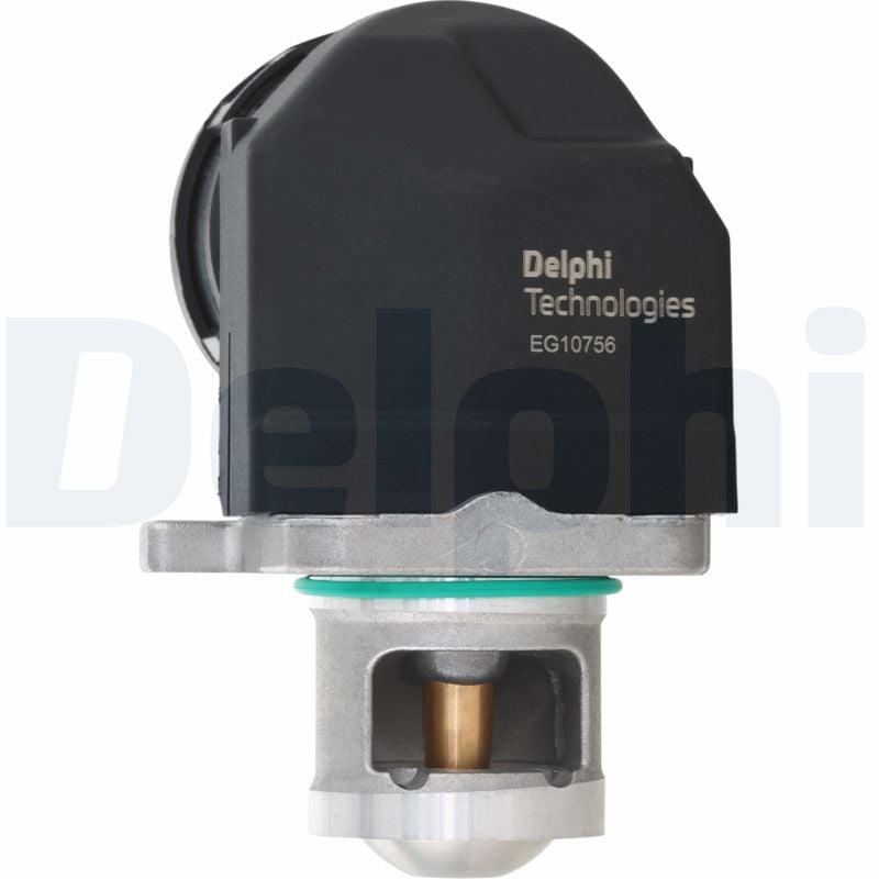Válvula EGR DELPHI EG10756-12B1