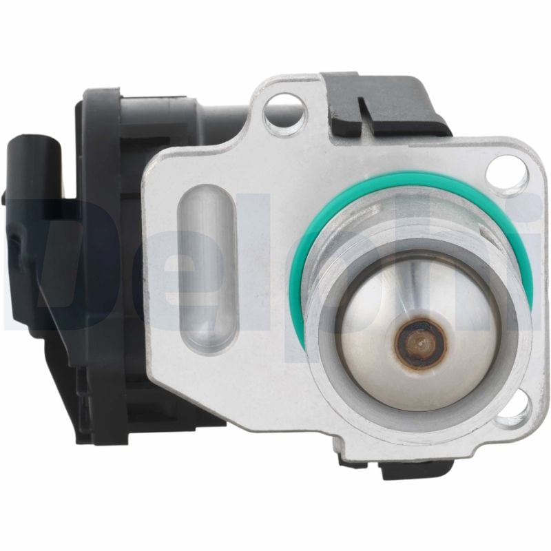 Válvula EGR DELPHI EG10756-12B1