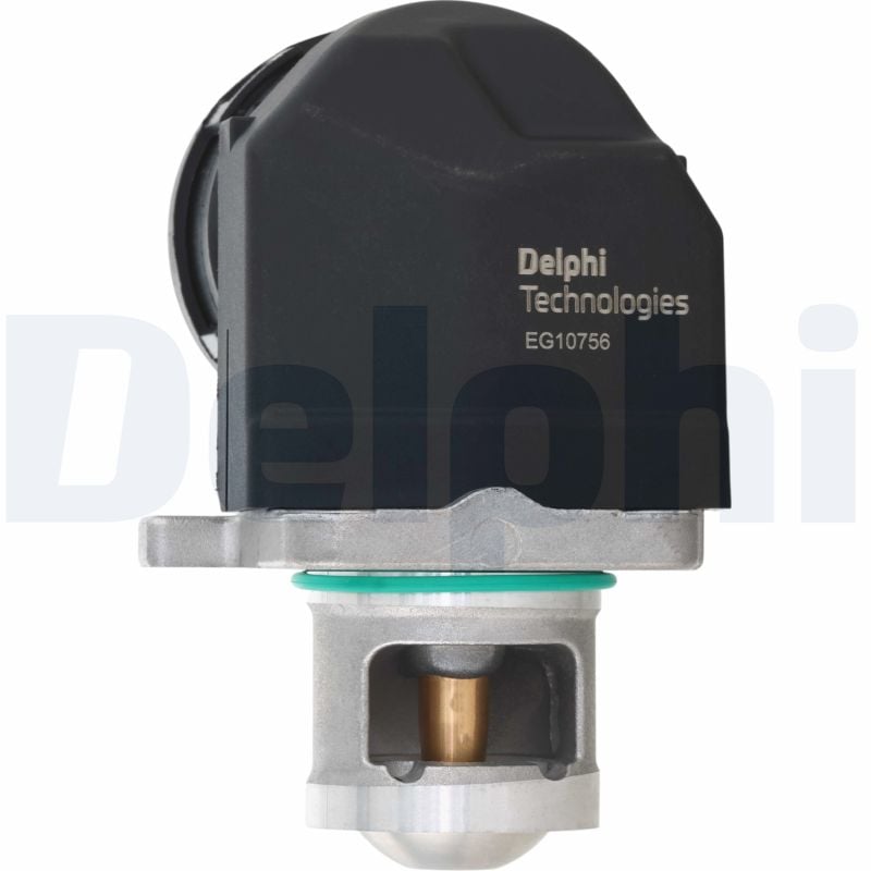 Válvula EGR DELPHI EG10756-12B1