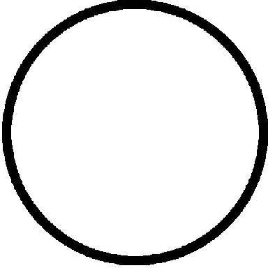 Joint de culasse REINZ 61-23555-00