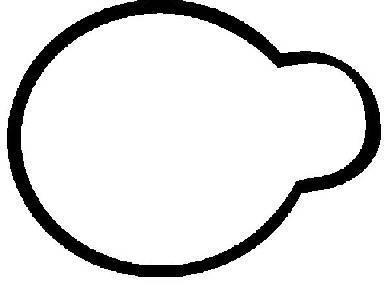 Joint de collecteur d'admission REINZ 71-29486-00