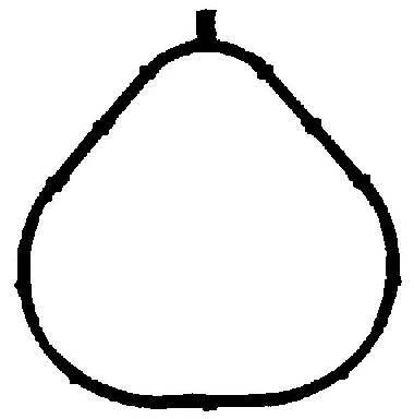 Joint de collecteur d'admission REINZ 71-35559-00