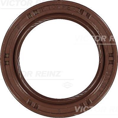 Vedante da cambota REINZ ref. 81-10472-00