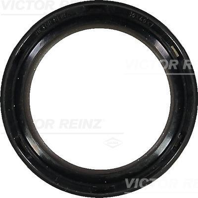 Vedante da cambota REINZ ref. 81-42697-00