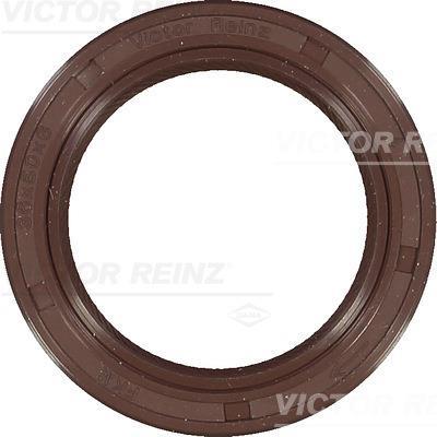 Vedante da cambota REINZ ref. 81-54209-00