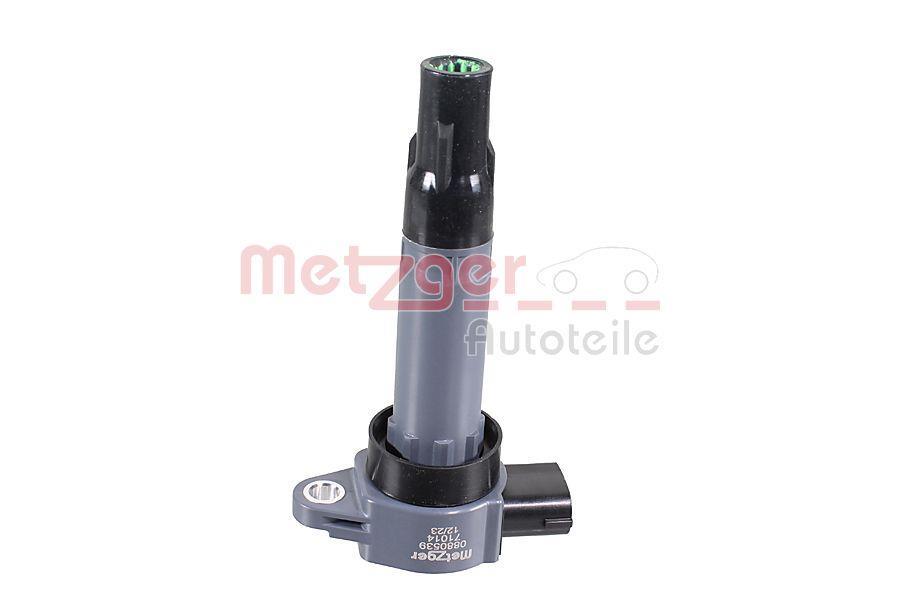 Vela de ignição METZGER ref. 0880539