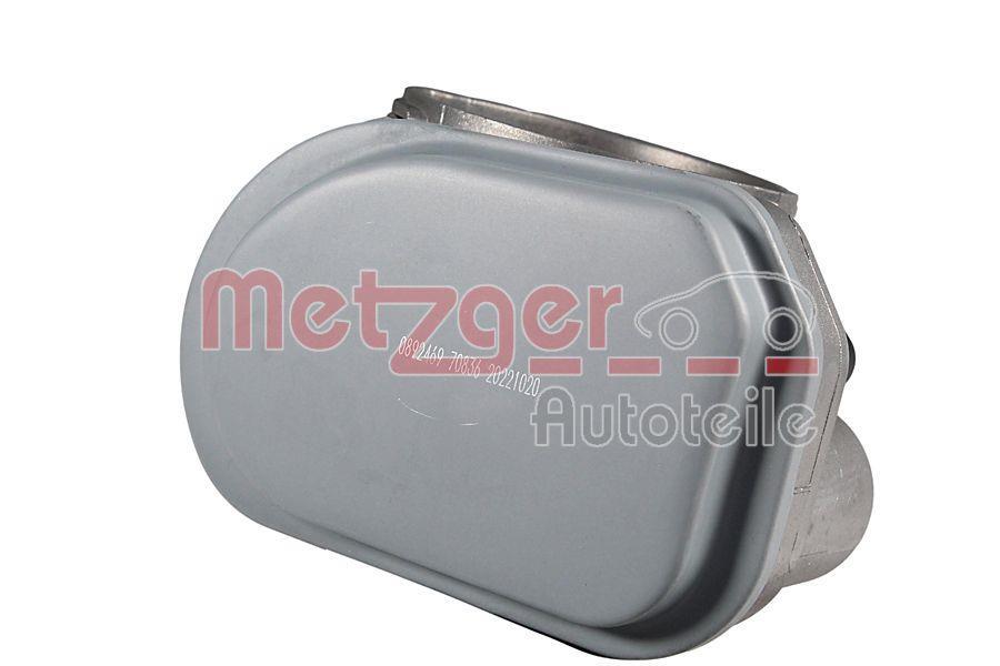 Corps papillon (Corps papillon) METZGER 0892469