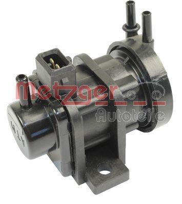 Butée hydraulique Coupé