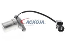 ACKOJA A26-0227