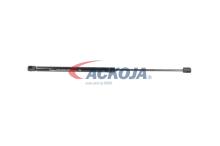 ACKOJA A38-0133