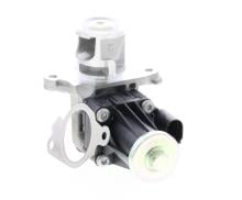DELPHI EG10443-12B1