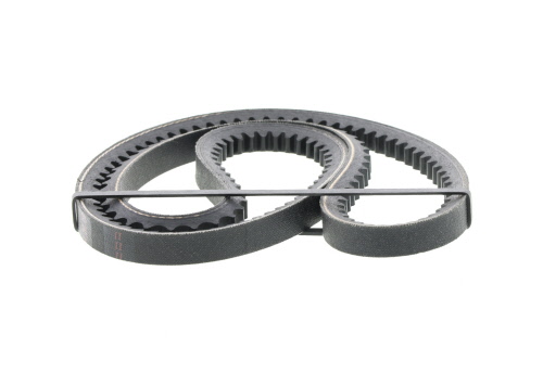 Correia trapezoidal estriada HERTH+BUSS JAKOPARTS ref. J1131000