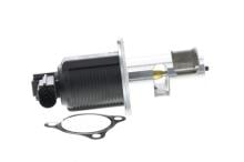 DELPHI EG10405-12B1
