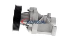 ACKOJA A53-0704