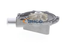 VAICO V24-50021