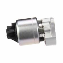 DELPHI EG10175-11B1