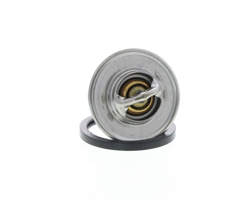 Thermostat d'eau (Calorstat) QUINTON HAZELL ref. QTH481K