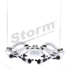 Storm 102998