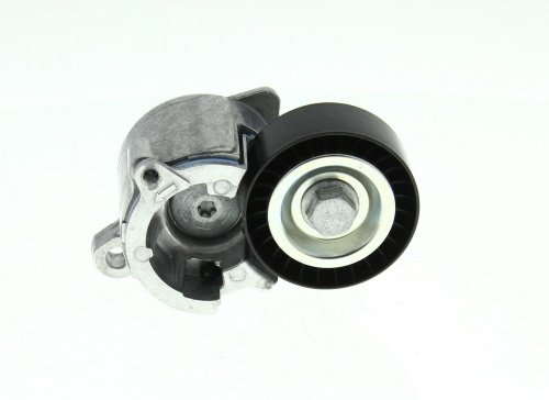 Galet tendeur de courroie d'accessoire SKF VKM 33019