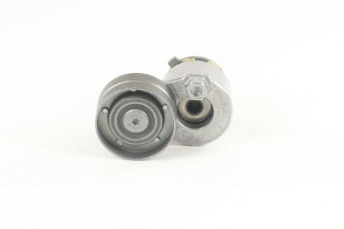 Galet tendeur de courroie d'accessoire SKF VKM 36030