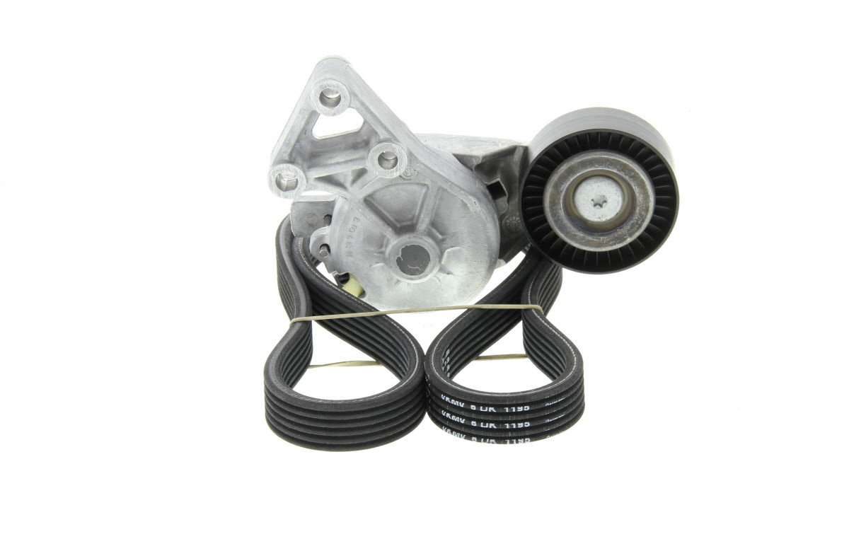 Kit de courroie d'accessoire SKF VKMA 31001