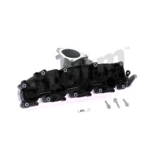 Storm 516503