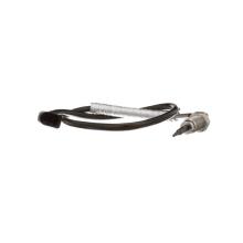 DELPHI TS30176