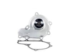 AISIN WPZ-009