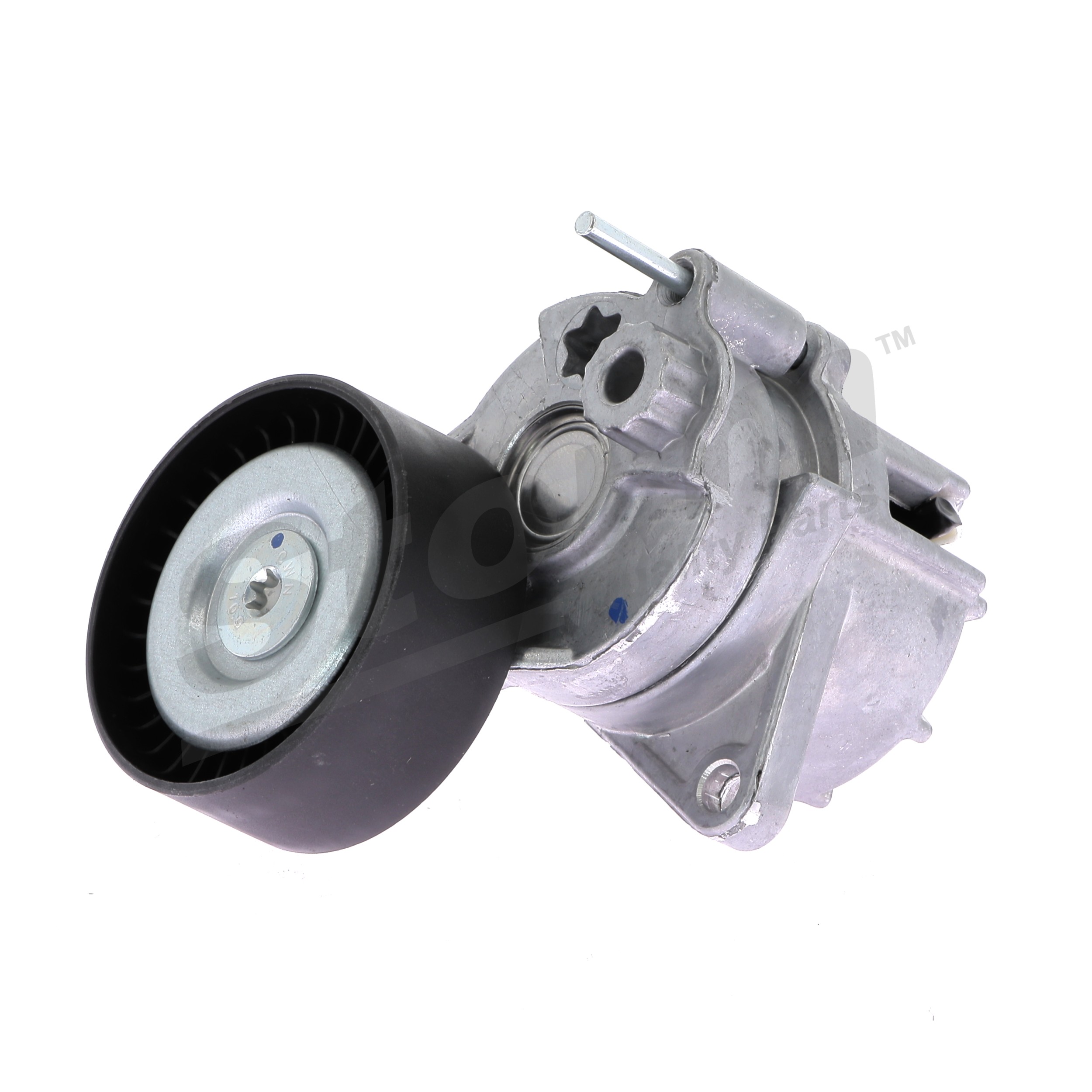 Kit de reparación, brazo tensor, correa poli V (Kit de reparación, polea tensora, correa accesorios) Storm ref. F4452