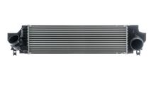 MAHLE Aftermarket CI 610 000P