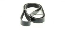 DAYCO  6PK1606