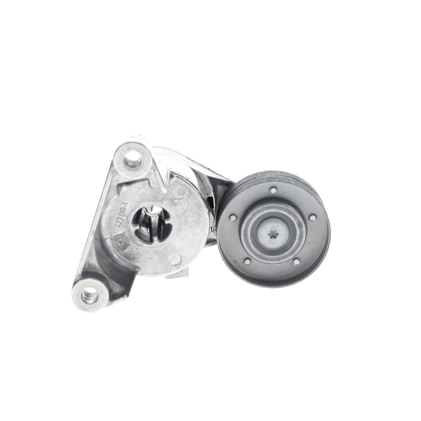 Rolo tensor da correia trapezoidal estriada SKF ref. VKM 36530