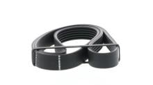 SKF VKMV 6PK1036