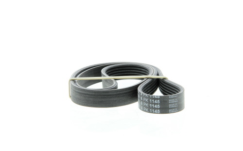 Correia trapezoidal estriada SKF ref. VKMV 6PK1145