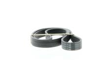SKF VKMV 6PK1145