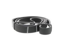 SKF VKMV 6PK1560