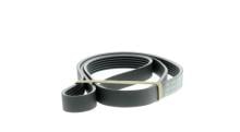 SKF VKMV 6PK1642