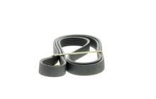 SKF VKMV 6PK1719