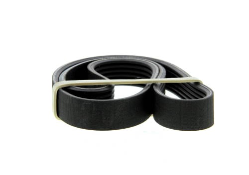 Courroie Multi-V SKF VKMV 6PK1156 - Longueur D'Origine - Pour Système D'Accessoires
