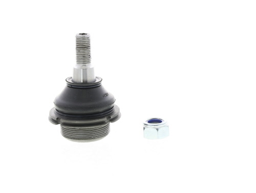 Butée hydraulique Coupé