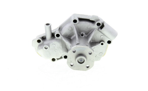 Pompe à eau DOLZ R125