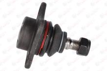ORIGINAL BIRTH CX9219
