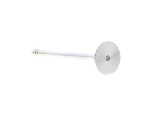 Válvula de escape MAHLE Aftermarket ref. 013VA30935100