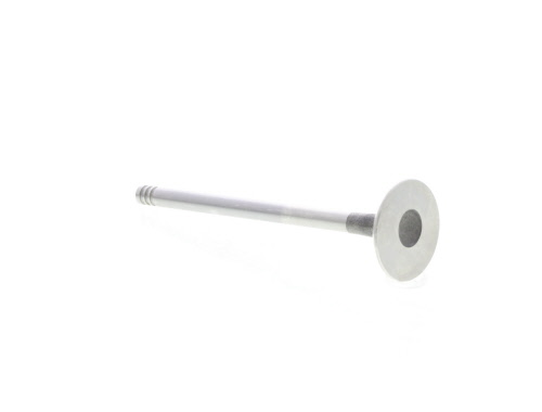 Válvula de escape MAHLE Aftermarket ref. 021VA31061000
