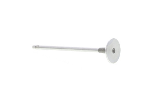 Válvula de admisión MAHLE Aftermarket ref. 021VE31150000