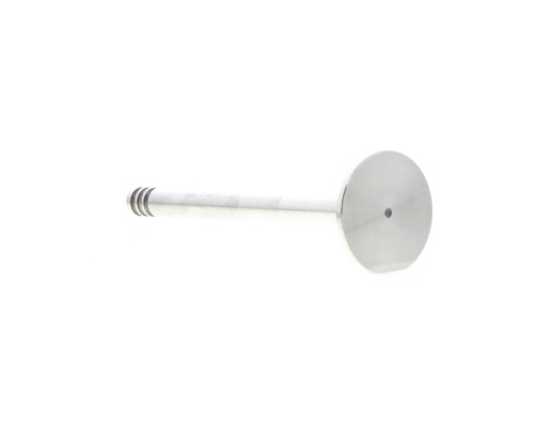 Soupape d'échappement MAHLE Aftermarket 029VA30499000